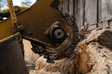 The process of removing a tree stump where the rotating head of the stump cutter grinds a freshly sawn stump...The shredding disc is stiffened when you can see the blades splitting the stump.