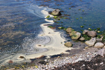 some pics on nature from a beginner photografer!