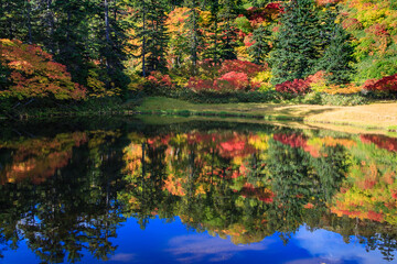 紅葉の大雪高原沼めぐり（滝見沼）