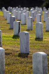 Riesiger Friedhof in Colmar (San Francisco/USA) - Soldatenfriedhof