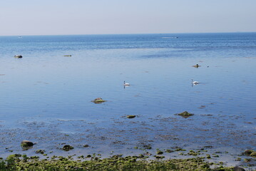 Some nature pics and flowers mostly sea