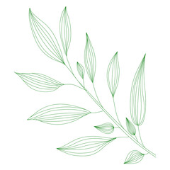 Line art branch with leaves. Vector minimalist outline illustration