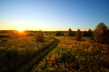 Dramatic sky on summer sunset with road. Beautiful clouds.