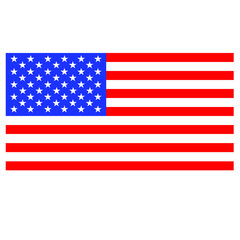 United States of America simple flag isolated vector
