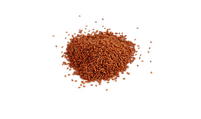 Camelina sativa seed isolate. Raw materials for the manufacture of camelina oil. Oilseeds of agricultural crops. Side view of seeds.