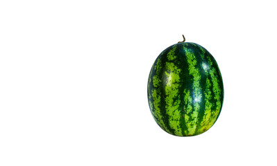 Green watermelon ball against white backdrop. Clipping path.