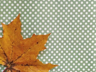 autumn maple leaves background wallpaper
