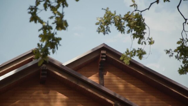Two sharp corners of the roof of wooden houses, close-up. The green branches of oak sway in the wind.