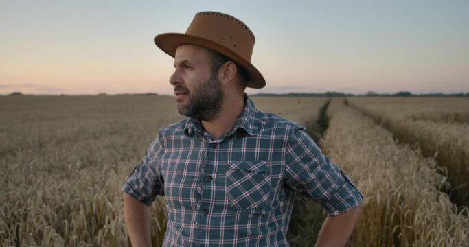 Portrait Caucasian Farmer Man in Plaid Shirt in Hat Looking at Camera. Farmland Sunset Landscape Agriculture. Portrait Farmer Bearded Man With Hat Standing in Wheat Field. Farm Worker. Sunset Sky.