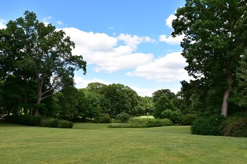Fototapeta na wymiar Lush park landscape with a cloudy blue sky 