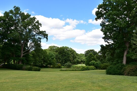Lush park landscape with a cloudy blue sky 