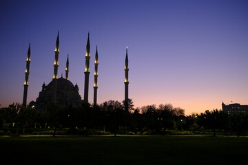 Fototapeta na wymiar blue mosque at night city