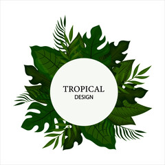 green different tropical leaves in the shape of a circle, space for text in the center