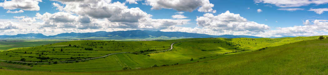 Fototapeta na wymiar Panoramic view, curving asphalt road on green agricultural fields at springtime.