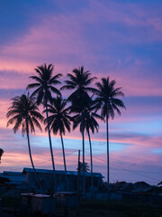 Obraz premium Tropical sunset
