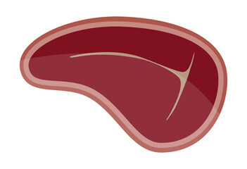 Beef Meat Steak Icons Set. Vector illustration