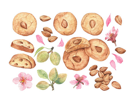 Watercolor set of almond cookies, almond nuts and flowers, on white isolated background. Traditional watercolor painting, for cards, tags, stickers, menu and cafe designs and more.