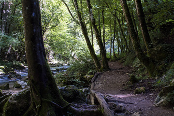 Laghetto San Benedetto