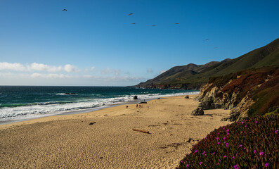 beach in summer