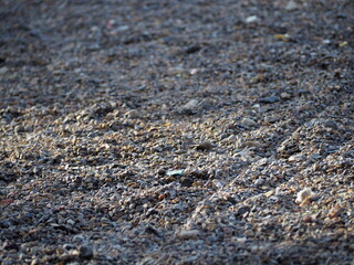 Gravel texture stone floor