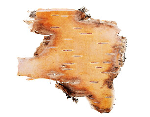 birch bark