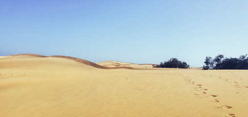 Fototapeta na wymiar beautiful sandy desert with footprints of people