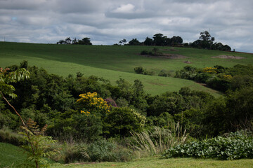 Fototapeta na wymiar Brazilian landscape with trees and hills.