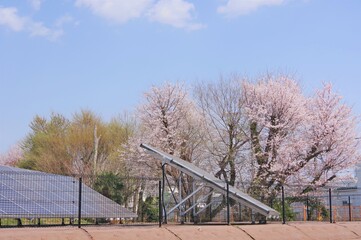 桜とソーラーパネル