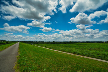 Fototapeta premium 透き通る空とサイクリングロード