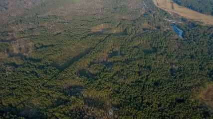Aerial drone view of deforestation of a pine forest. Ecology concept change tree forest drought and...