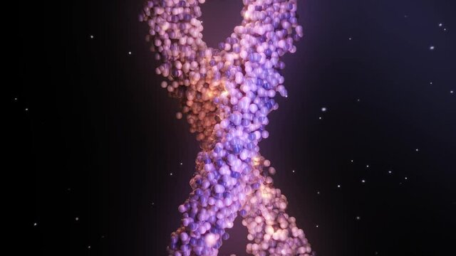 DNA bestehend aus mehreren Partikeln