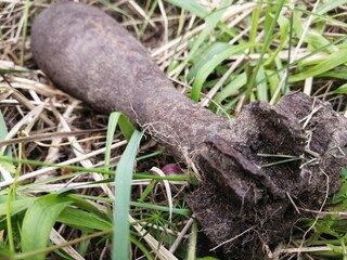 Rusty WWII (The Second World War) Artillery shell lying on the ground