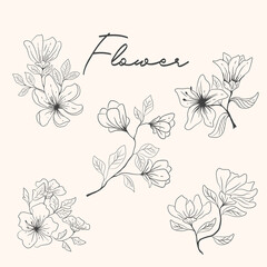 vector illustration of flower sketch