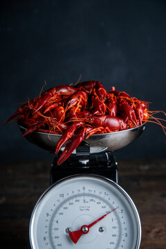 Crawfish on a kitchen scale