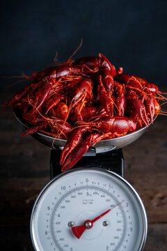 Crawfish on a kitchen scale