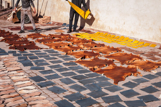 pieces of freshly painted traditional bright colored leather are drying in the sunlight in the tanning lane on the Marakesh old town street Middle East style