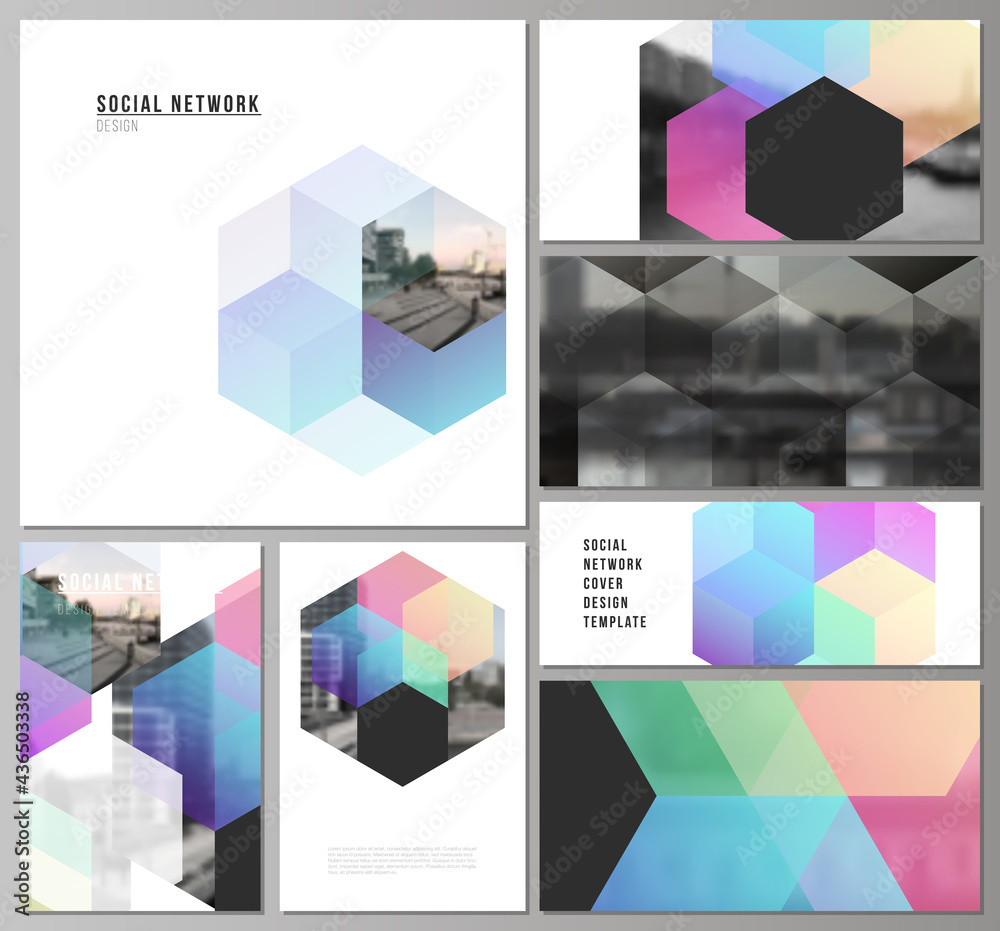 Wall mural vector layouts of modern social network mockups in popular formats with abstract shapes and colors f