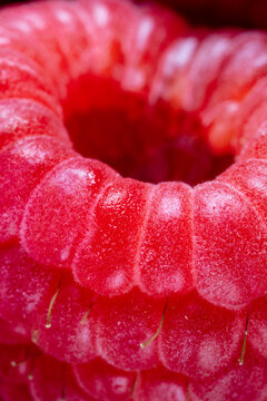 Closeup of raspberries 