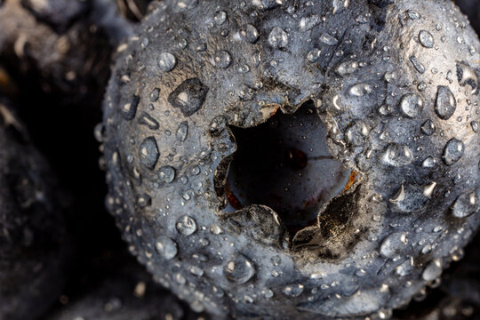 Closeup of blueberries 