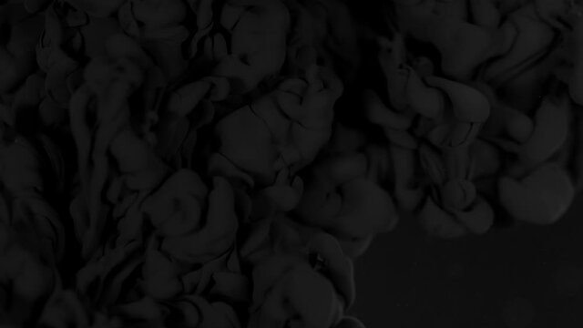 Super Slow Motion Shot of Abstract Black Ink Flowing in Water at 1000fps.