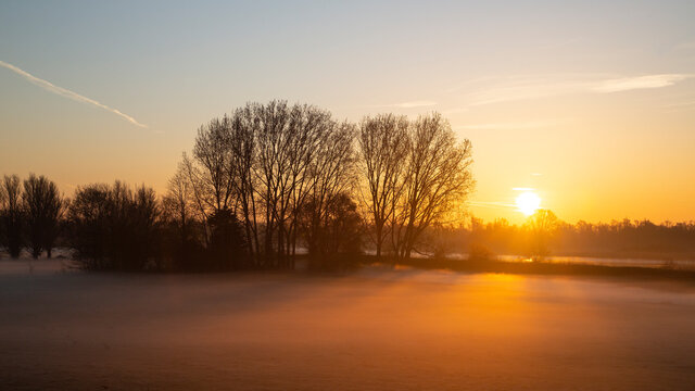 Polder in Dutch Biesbosch National Park covered by fog during sunrise