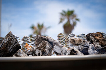 grilled sardines cooked on the beach