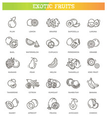 Fruits, exotic fruits, vegetarian - flat icon set