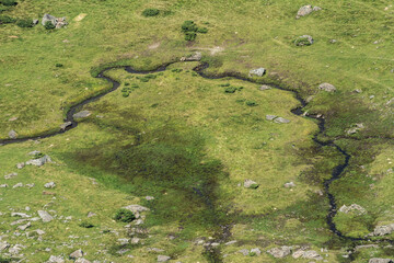 curvy mountain stream on green field