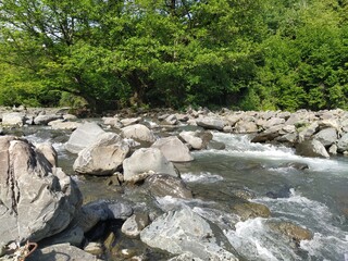Beautiful nature scenery with green mountains and mountain river. Mountain river with rocks and green forest