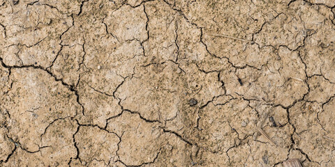 Top view of soil and dry earth texture - drought and heatwave - temperature rise due to climate change - lack of water - cracked earth
