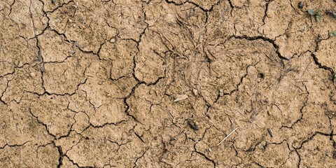 Top view of soil and dry earth texture - drought and heatwave - temperature rise due to climate change - lack of water - cracked earth