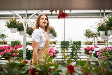 Attractive female florist in white t-shirt and beige apron taking care of various plants at hothouse. Concept of people, work and gardening.