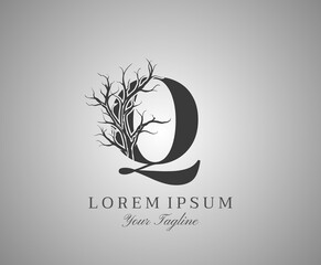 Letter Q With Dead Tree Design Logo Icon. Creative Alphabetical Creepy Dry Tree Brach Nature Logo Template.