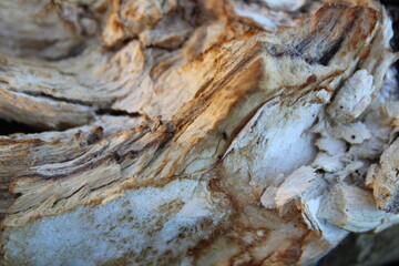 texture